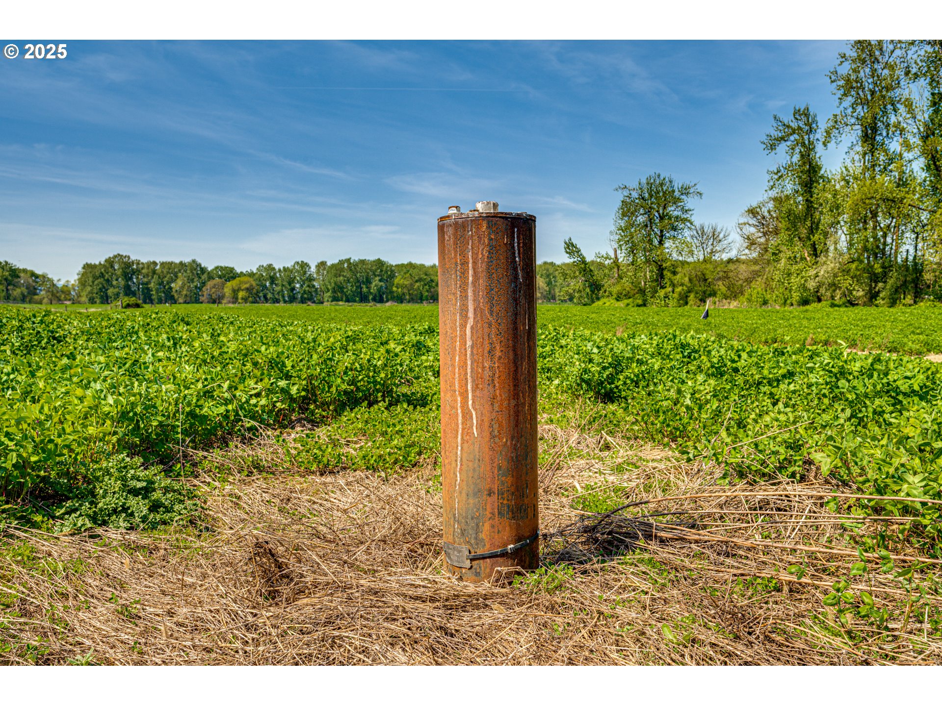 0 Whalen Road Woodland, WA 98674 - Photo 19 of 29
