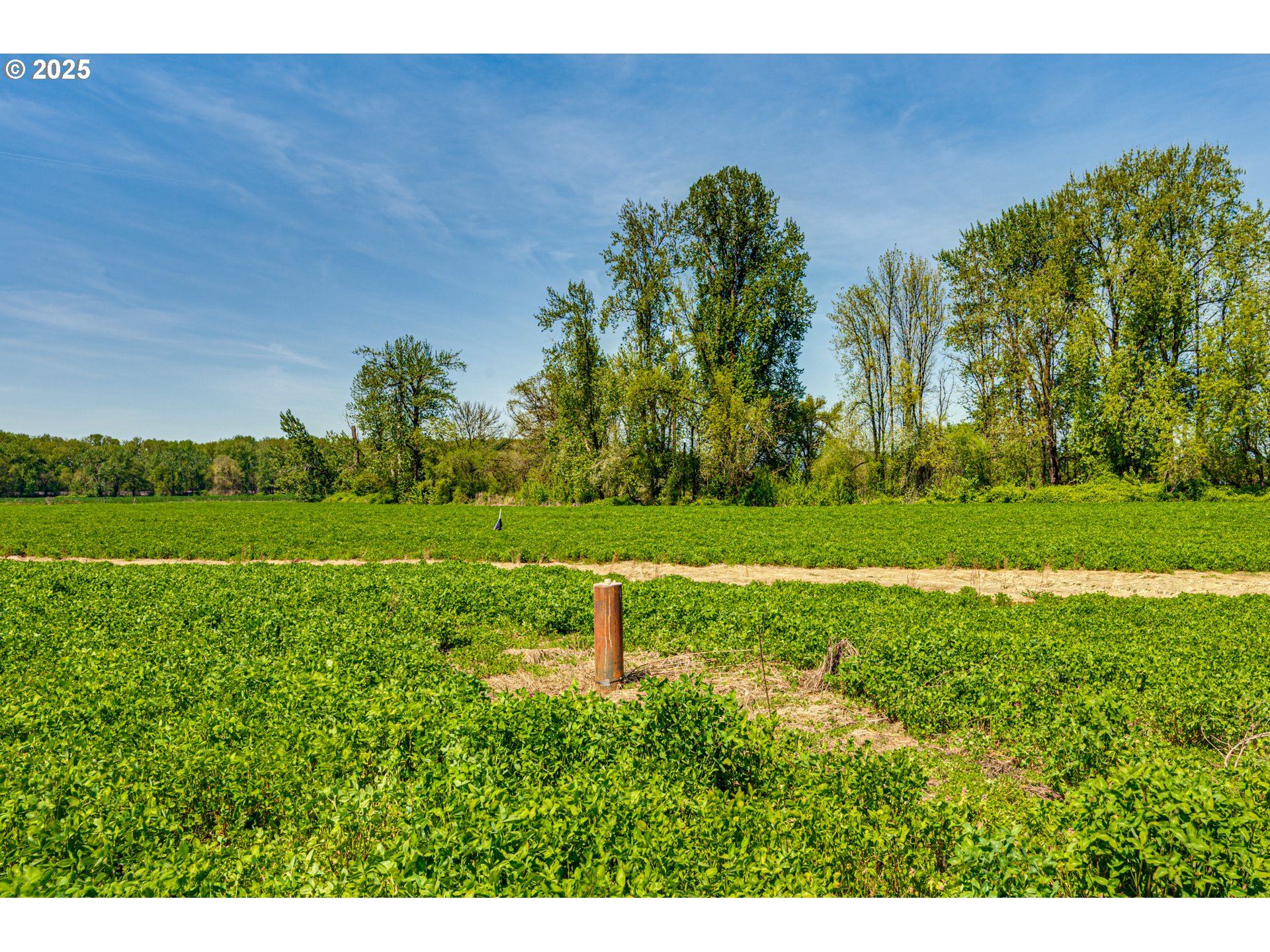 0 Whalen Road Woodland, WA 98674 - Photo 20 of 29