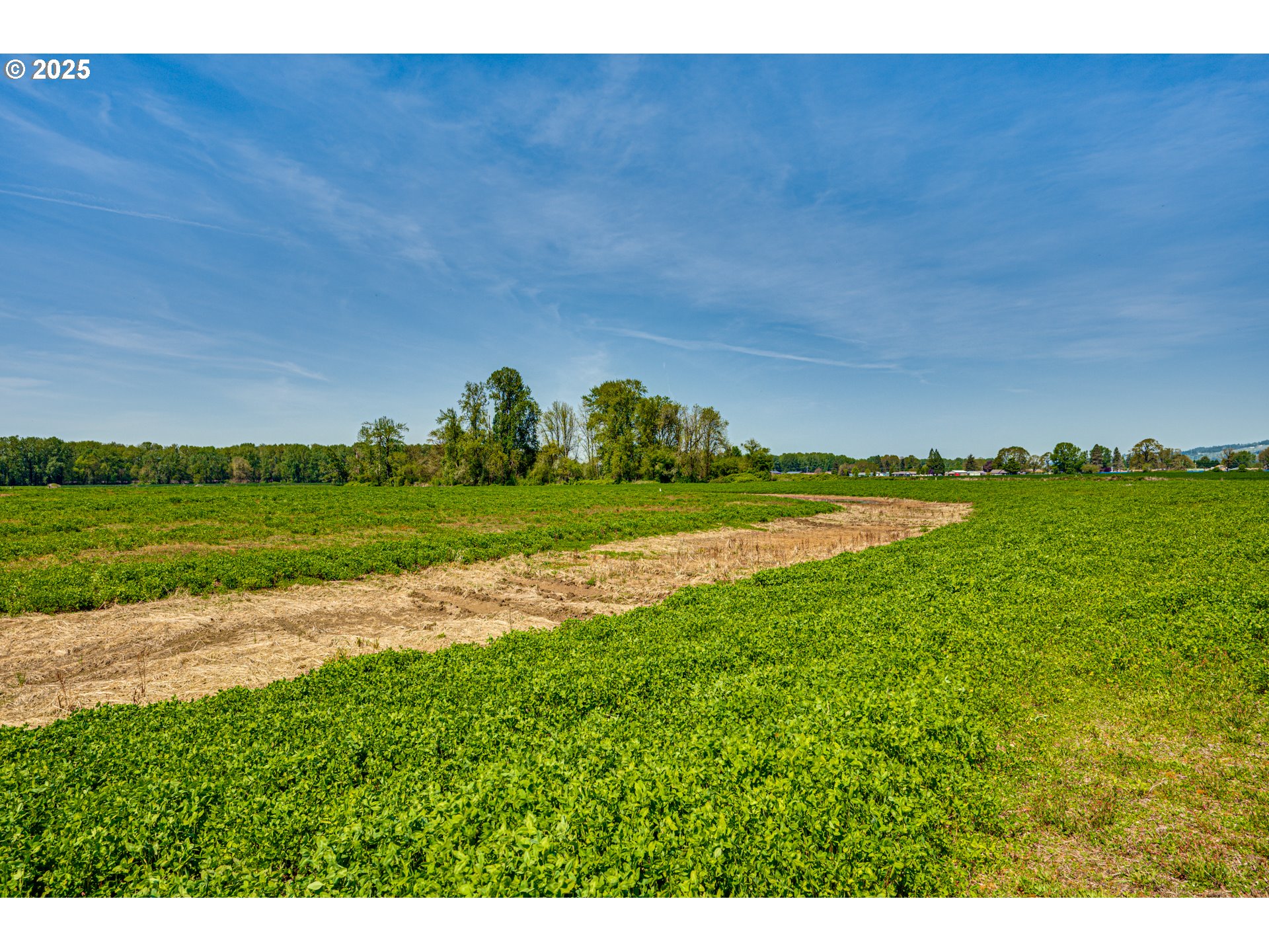 0 Whalen Road Woodland, WA 98674 - Photo 22 of 29