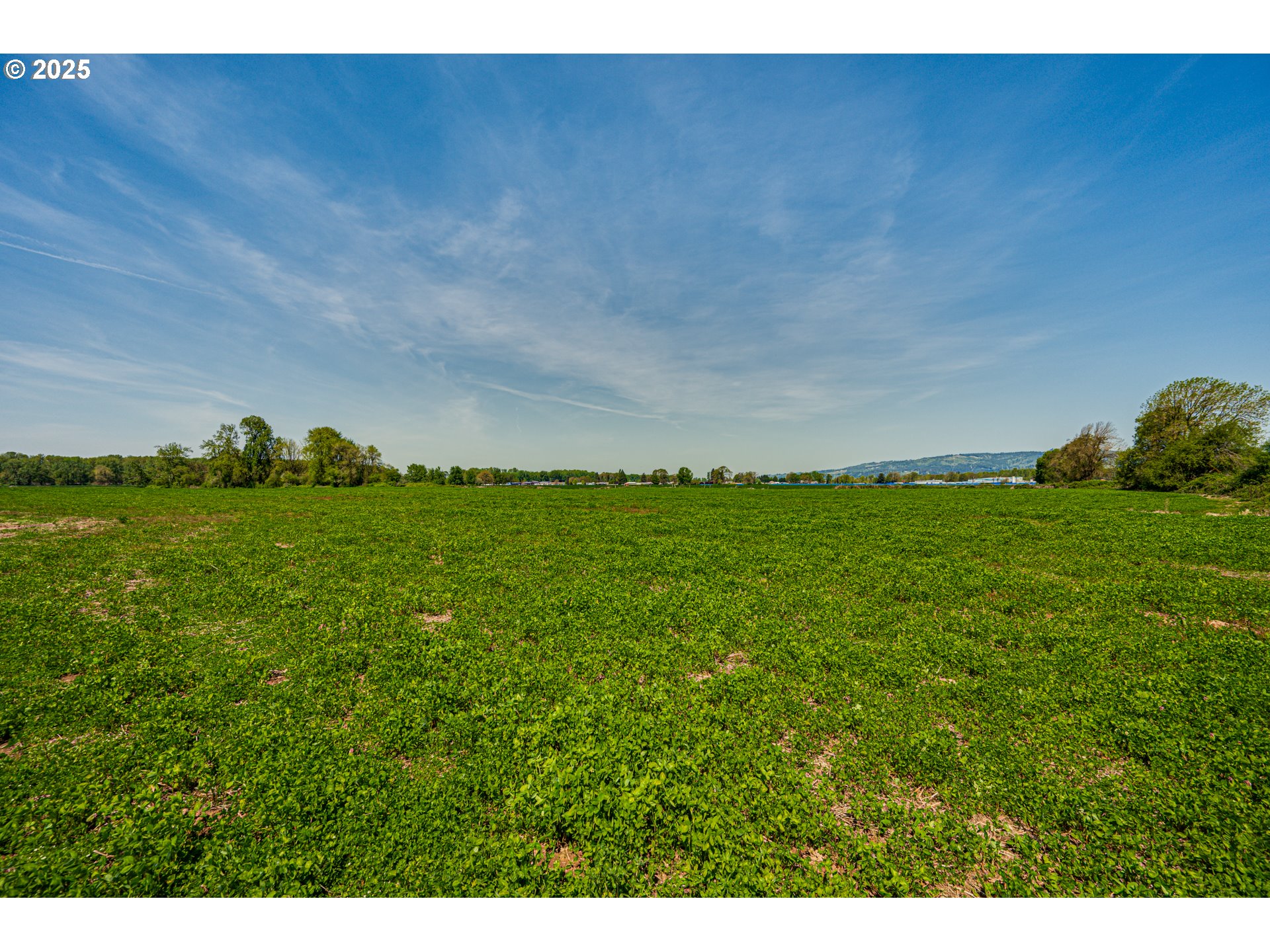 0 Whalen Road Woodland, WA 98674 - Photo 23 of 29