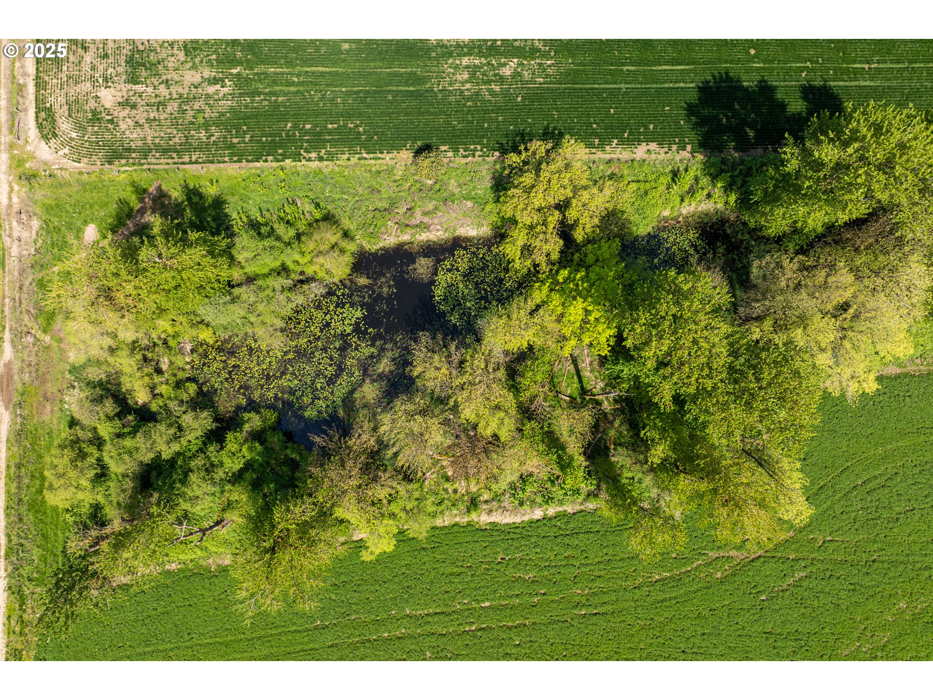 0 Whalen Road Woodland, WA 98674 - Photo 25 of 29