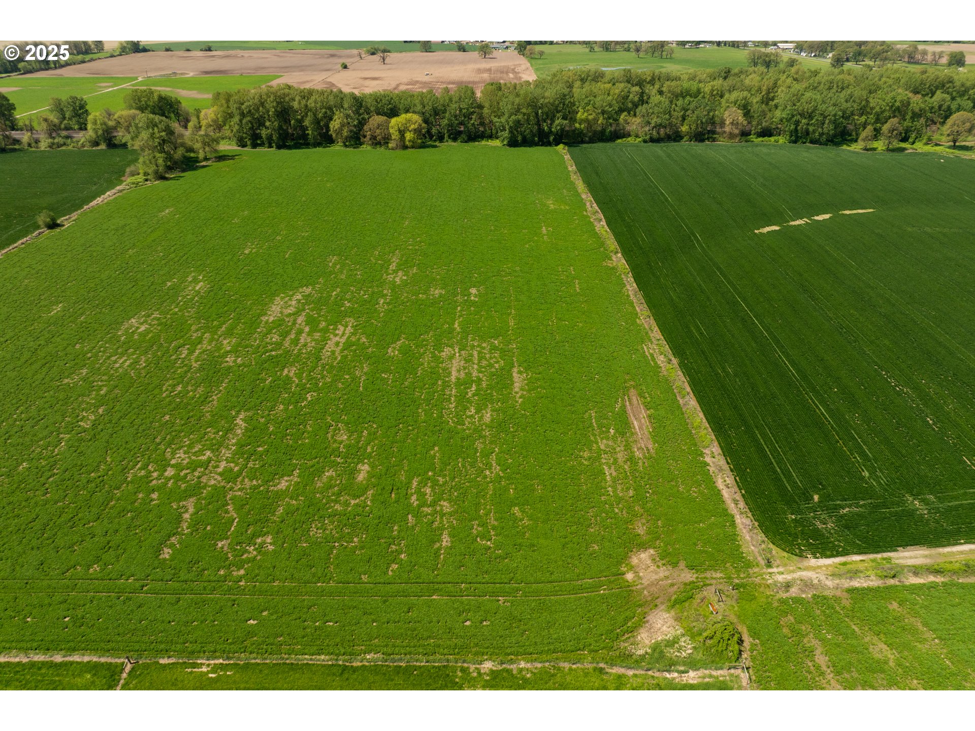 0 Whalen Road Woodland, WA 98674 - Photo 26 of 29