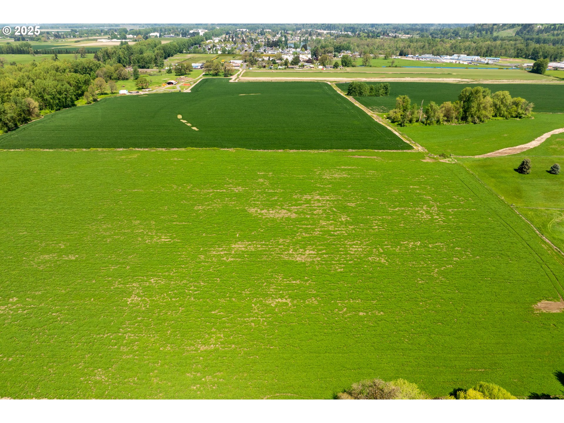 0 Whalen Road Woodland, WA 98674 - Photo 27 of 29