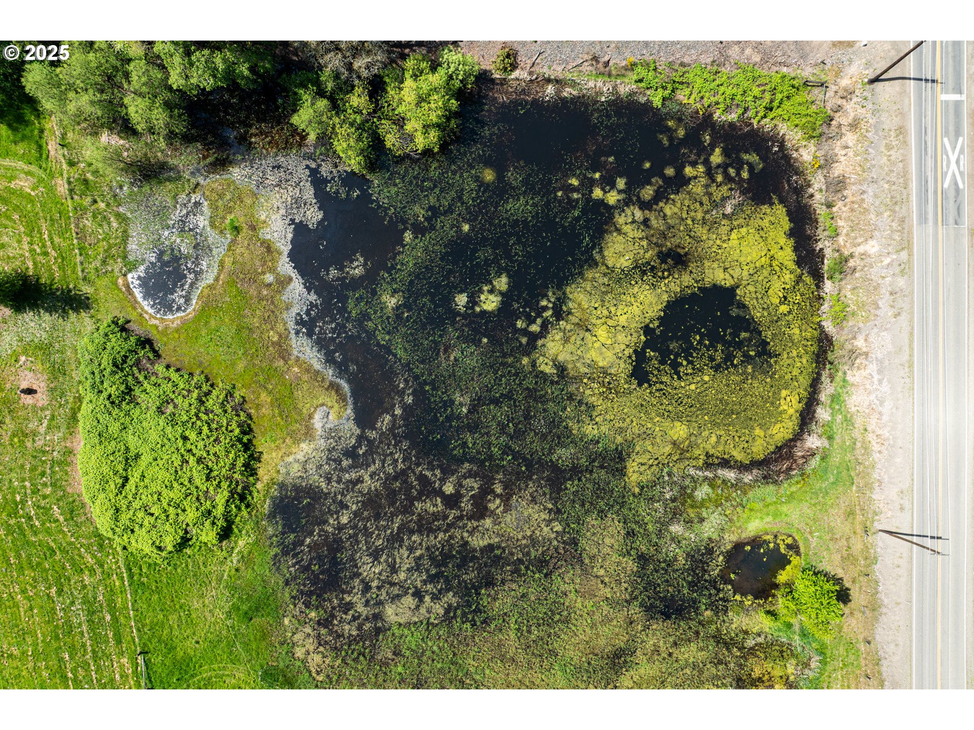 0 Whalen Road Woodland, WA 98674 - Photo 5 of 29