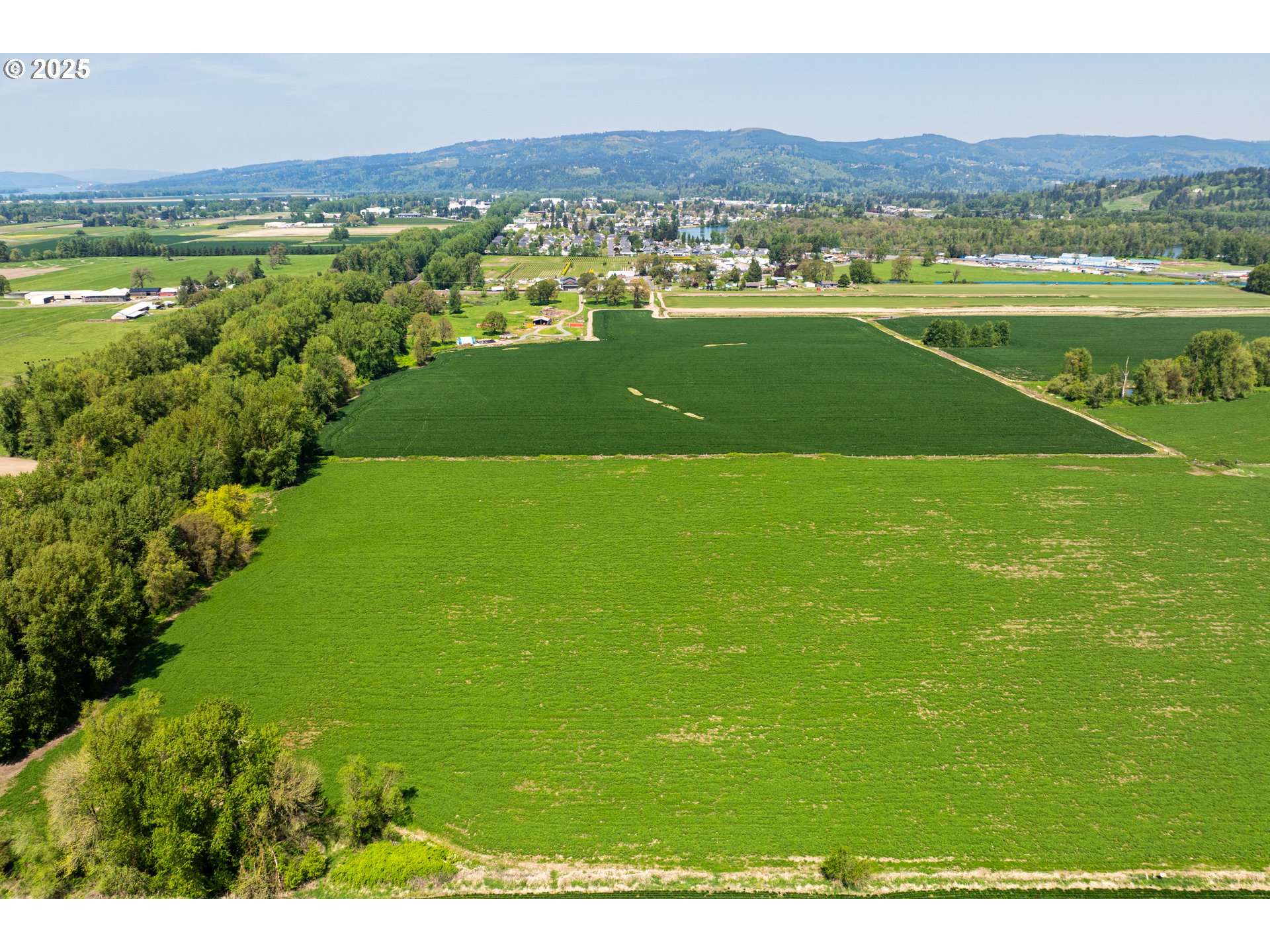 0 Whalen Road Woodland, WA 98674 - Photo 7 of 29