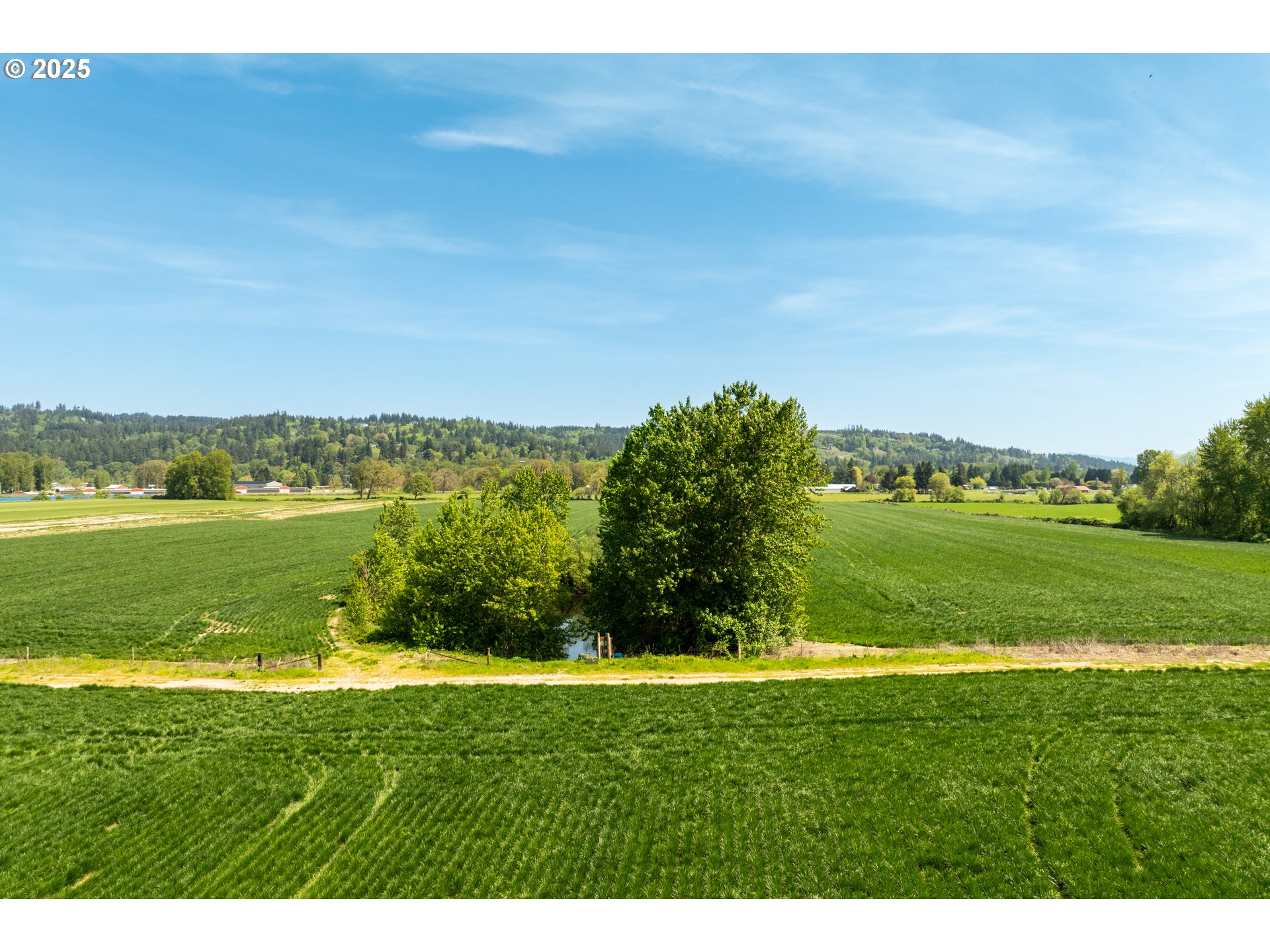 0 Whalen Road Woodland, WA 98674 - Photo 9 of 29