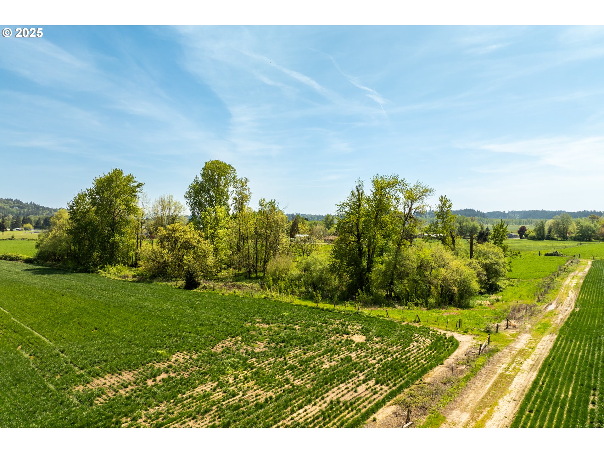 0 Whalen Road Woodland, WA 98674 - Photo 10 of 29