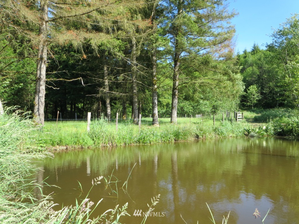 184 Piper Lane Chehalis, WA 98532 - Photo 22 of 25 a view of lake background with house