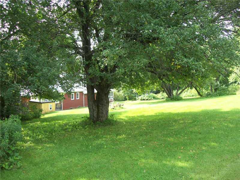 1012 Morrill Pond Road Hartland, ME 04943 - Photo 14 of 35 Land/Lot. Some very old apple trees...