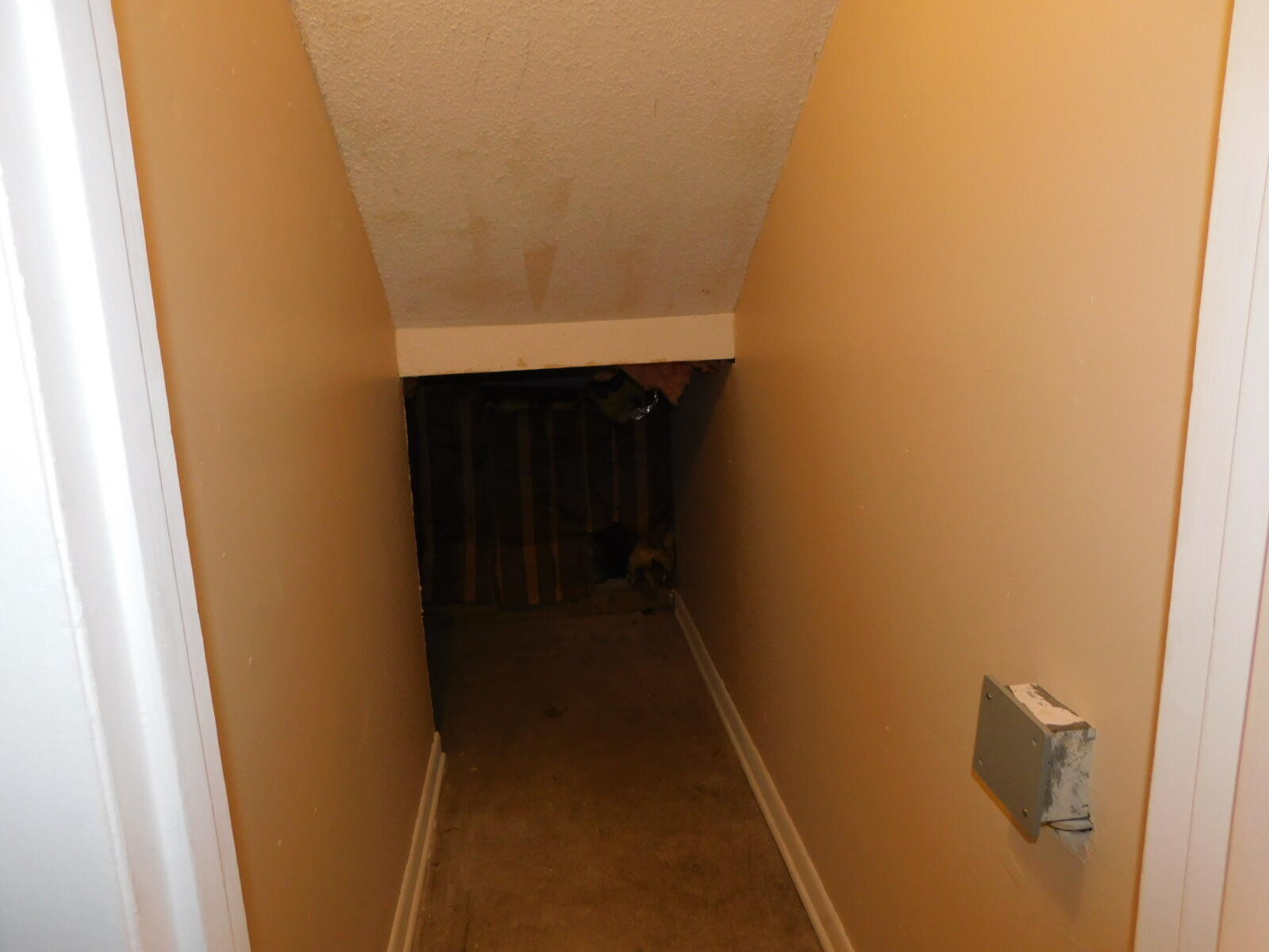 816 Merriam Street Chattanooga, TN 37405 - Photo 29 of 51 DSCN0651