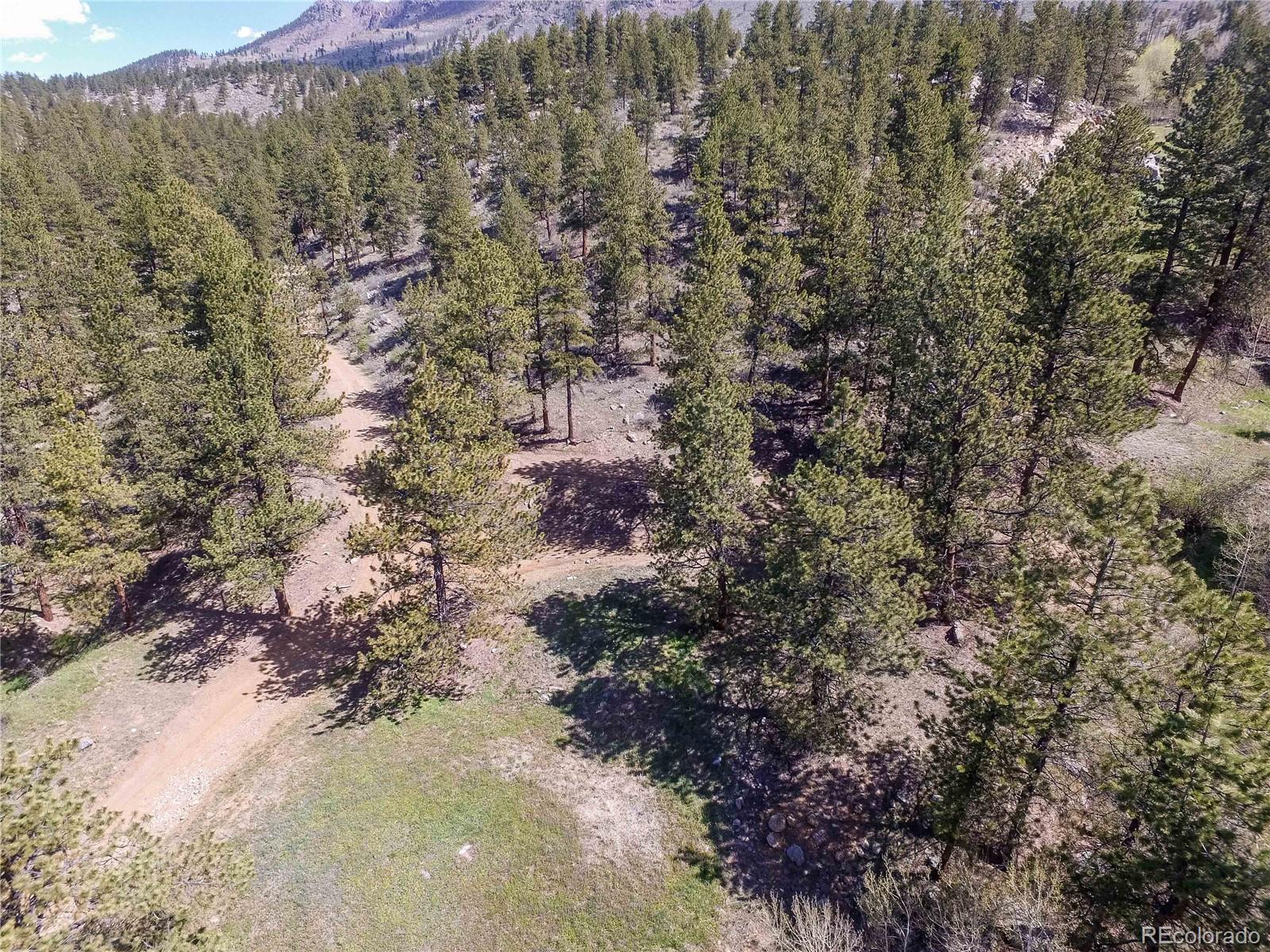 58415 US Highway 285 Bailey, CO 80421 - Photo 12 of 39