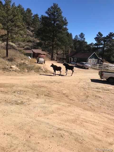 58415 US Highway 285 Bailey, CO 80421 - Photo 39 of 39