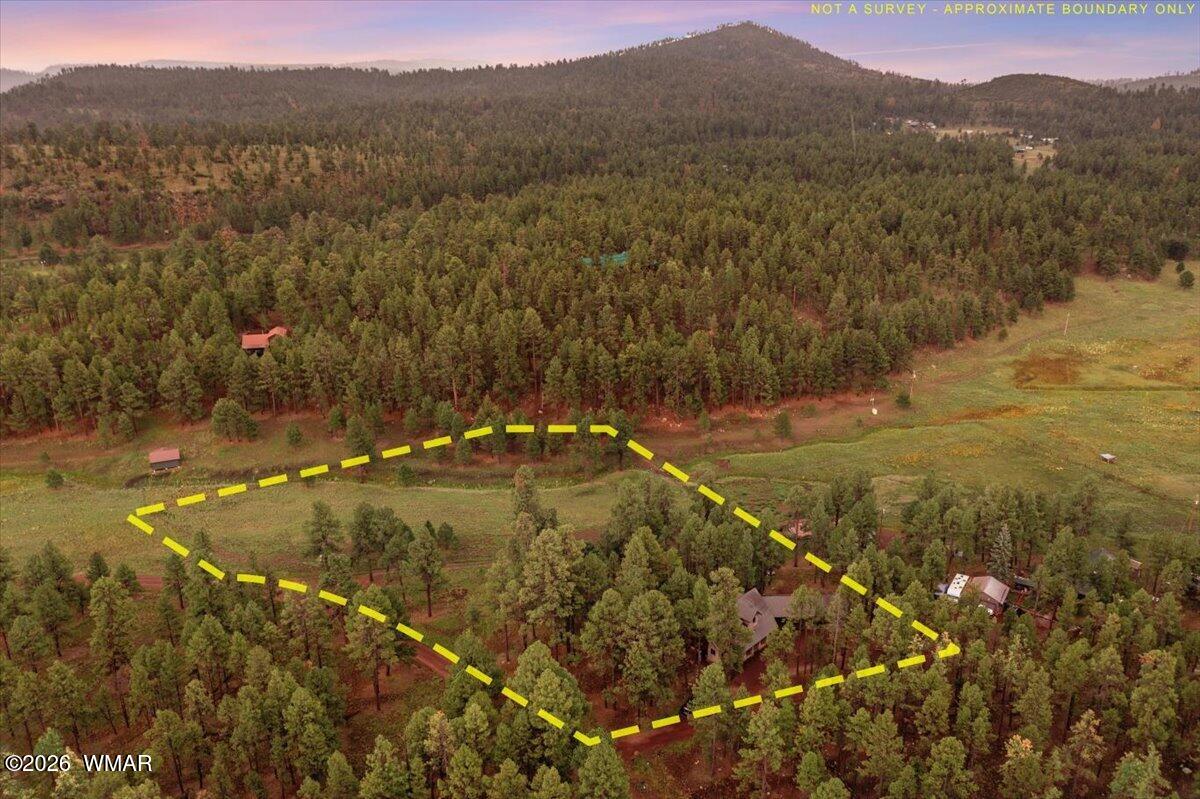 36 County Road Alpine, AZ 85920 - Photo 64 of 70 Gallery Image 64
