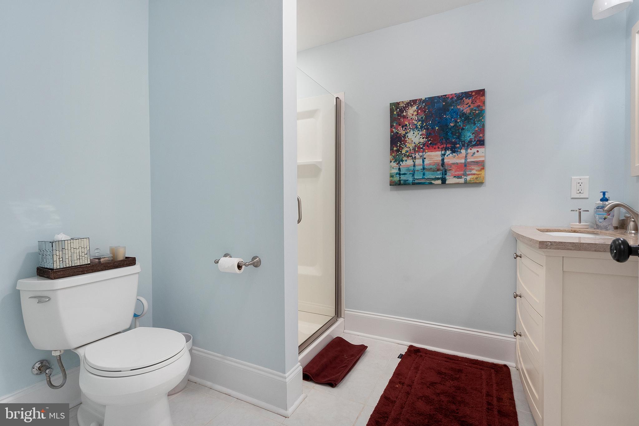 718 North Valley Road Paoli, PA 19301 - Photo 35 of 44 Full Bath in Lower Level