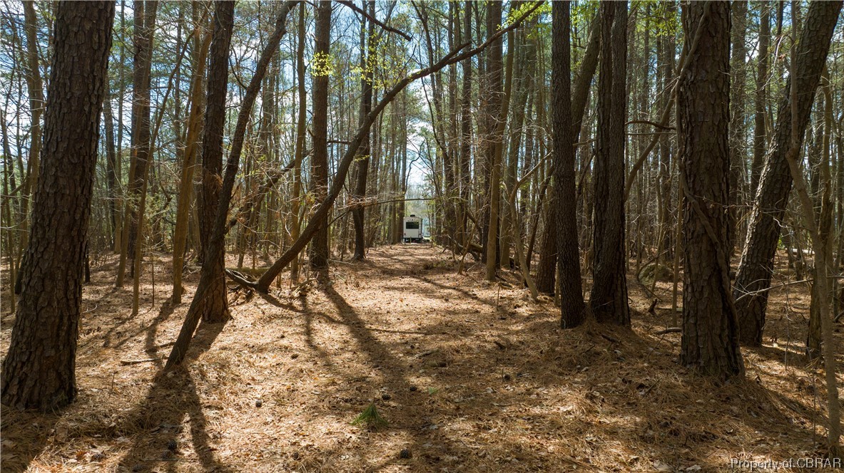 11-ac 11-ac Maryus & Line Fence Road Hayes, VA 23072 - Photo 1 of 32