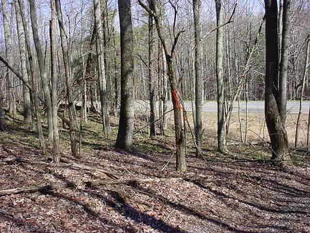 Other. Looking toward road from the property.