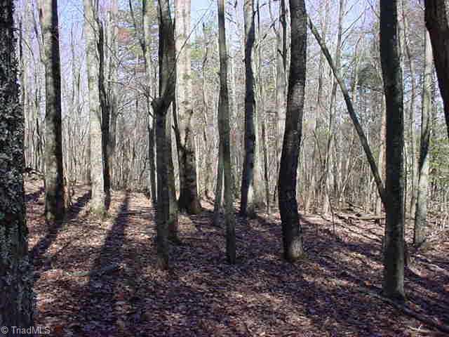Other. Old Trail thru woods