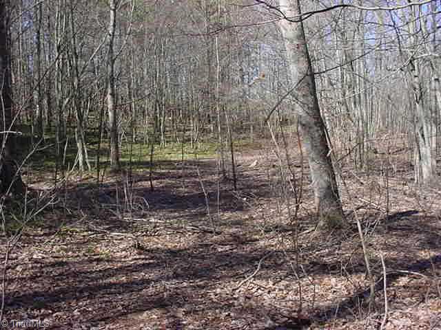 Other. Old trail thru the woods