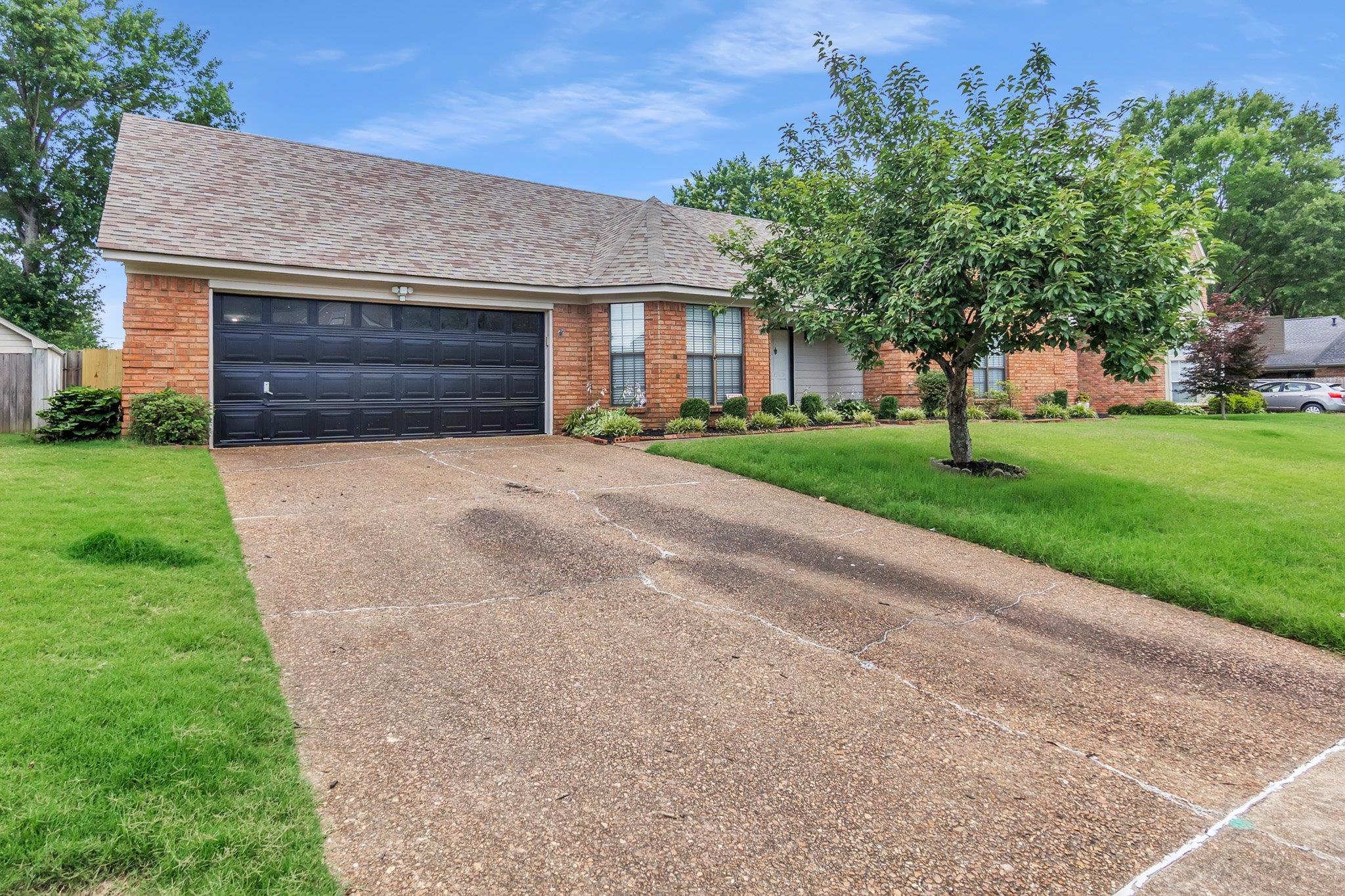6613 Stephan Ridge Drive Bartlett, TN 38135 - Photo 4 of 24 Brick exterior residence featuring a two-car garage with a black door, a shingled roof, a concrete driveway, and a front lawn with a mature tree and established landscaping
