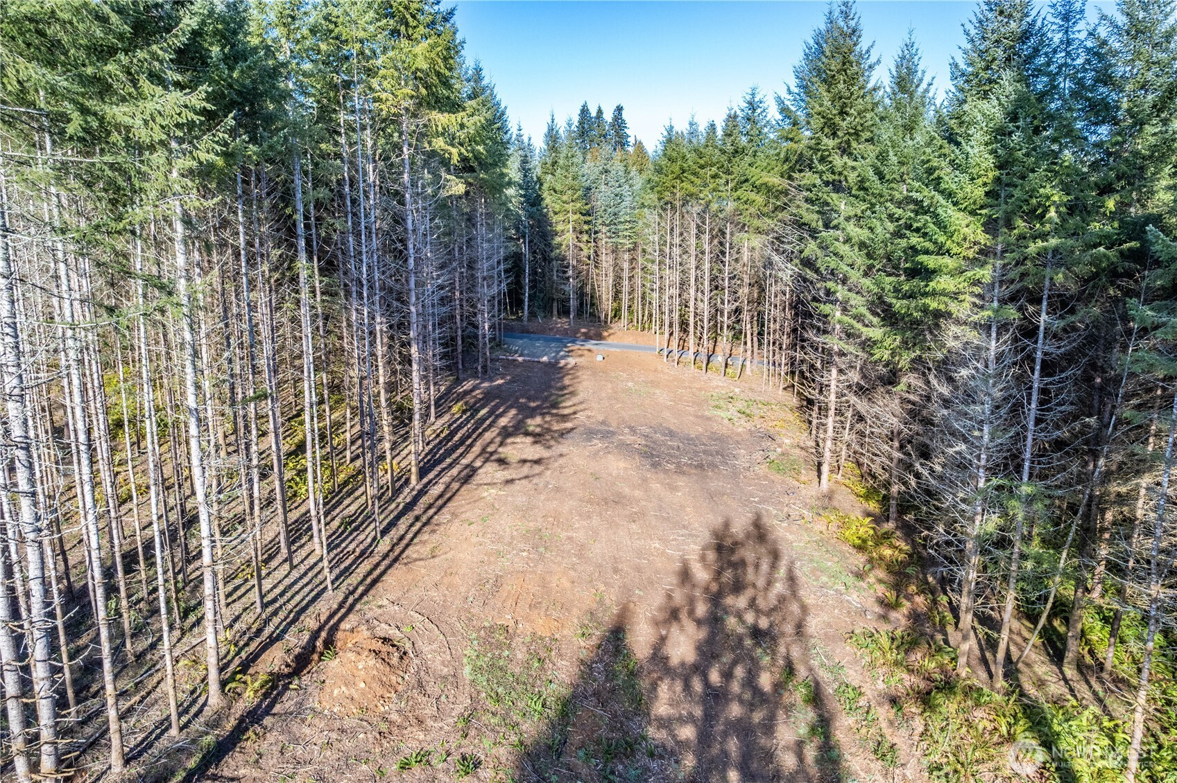 0 Bunker Hill Road, Unit B Longview, WA 98632 - Photo 12 of 17