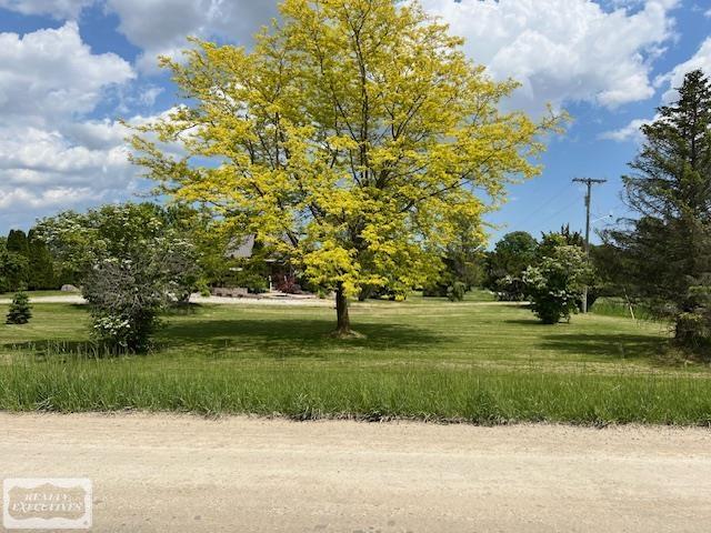 254 Holmes Road Allenton, MI 48002 - Photo 6 of 39 50142525-cea47f76-6d3c-4101-b78b-3258c31dd1cf.JPG