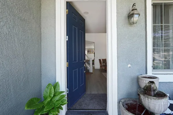a bathroom with a potted plant and a toilet