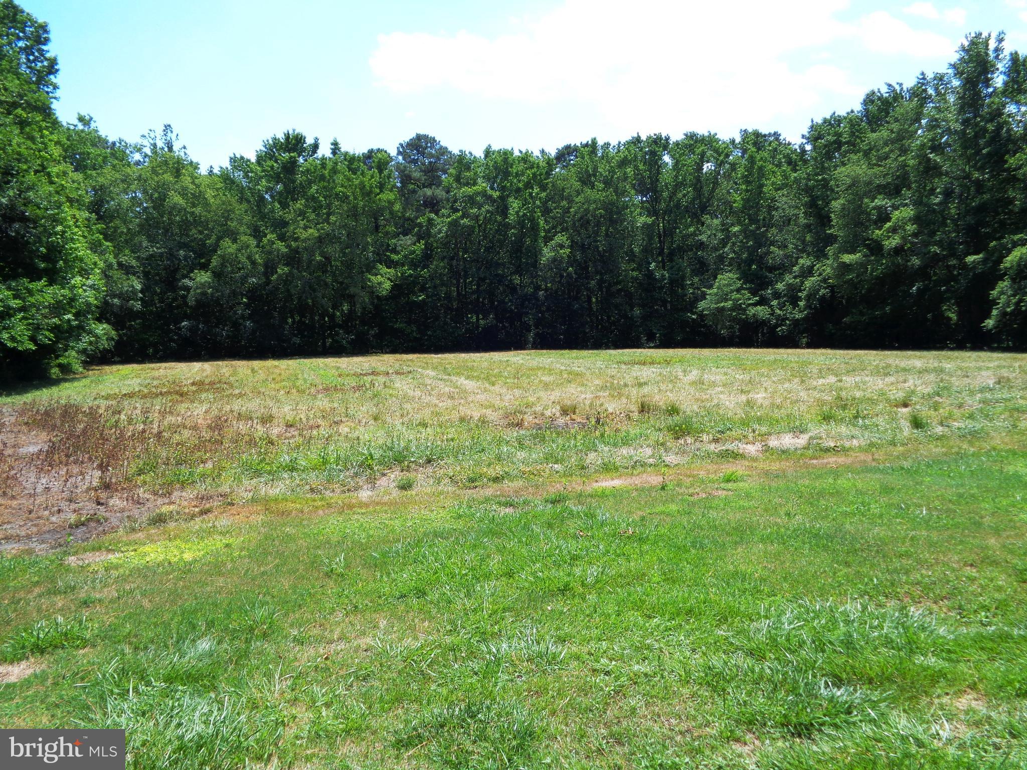 32865 Swamp Road Dagsboro, DE 19939 - Photo 14 of 17 Rear Yard of Property 1 of 2