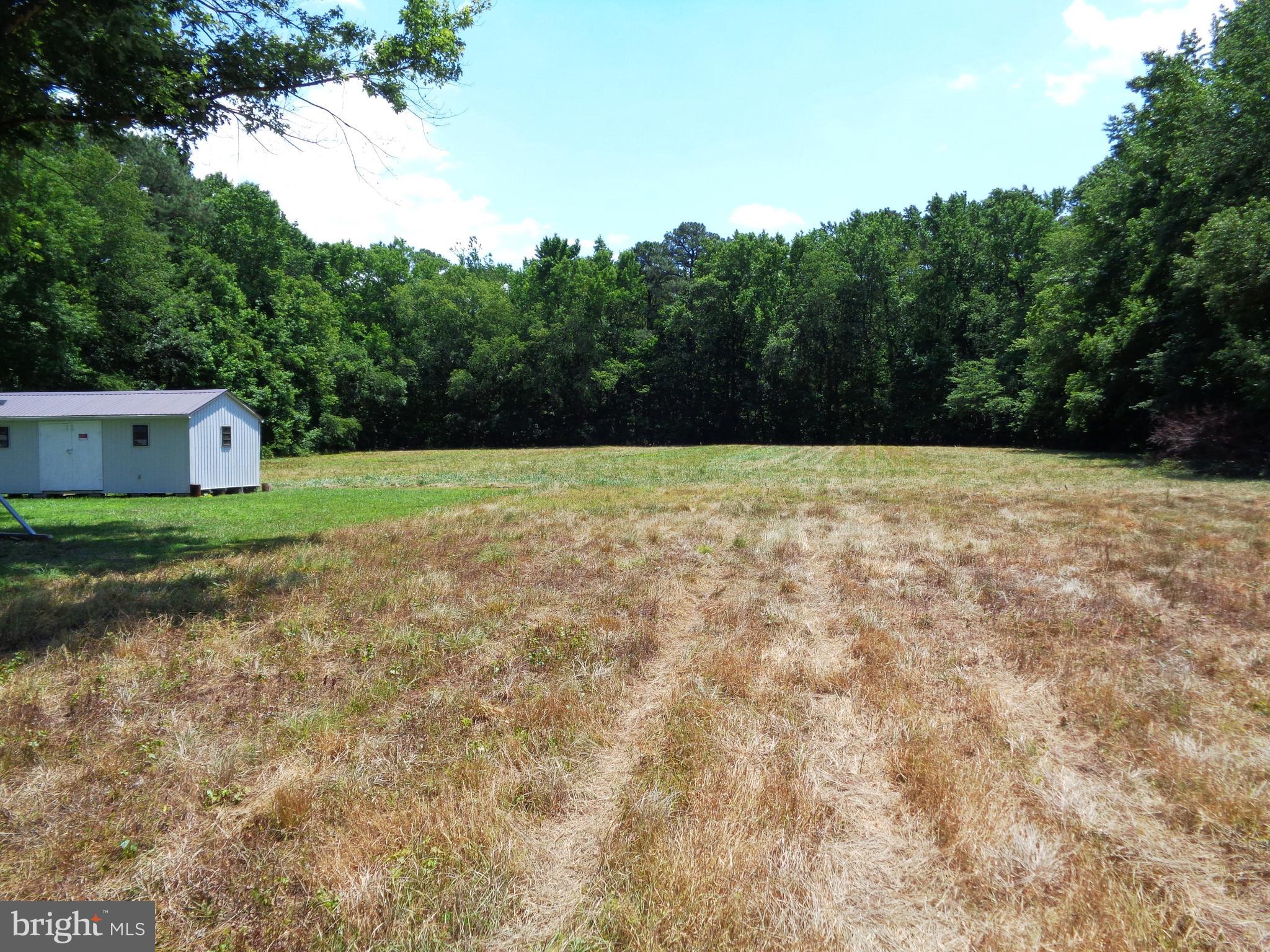 32865 Swamp Road Dagsboro, DE 19939 - Photo 15 of 17 Rear Yard of Property 2 of 2