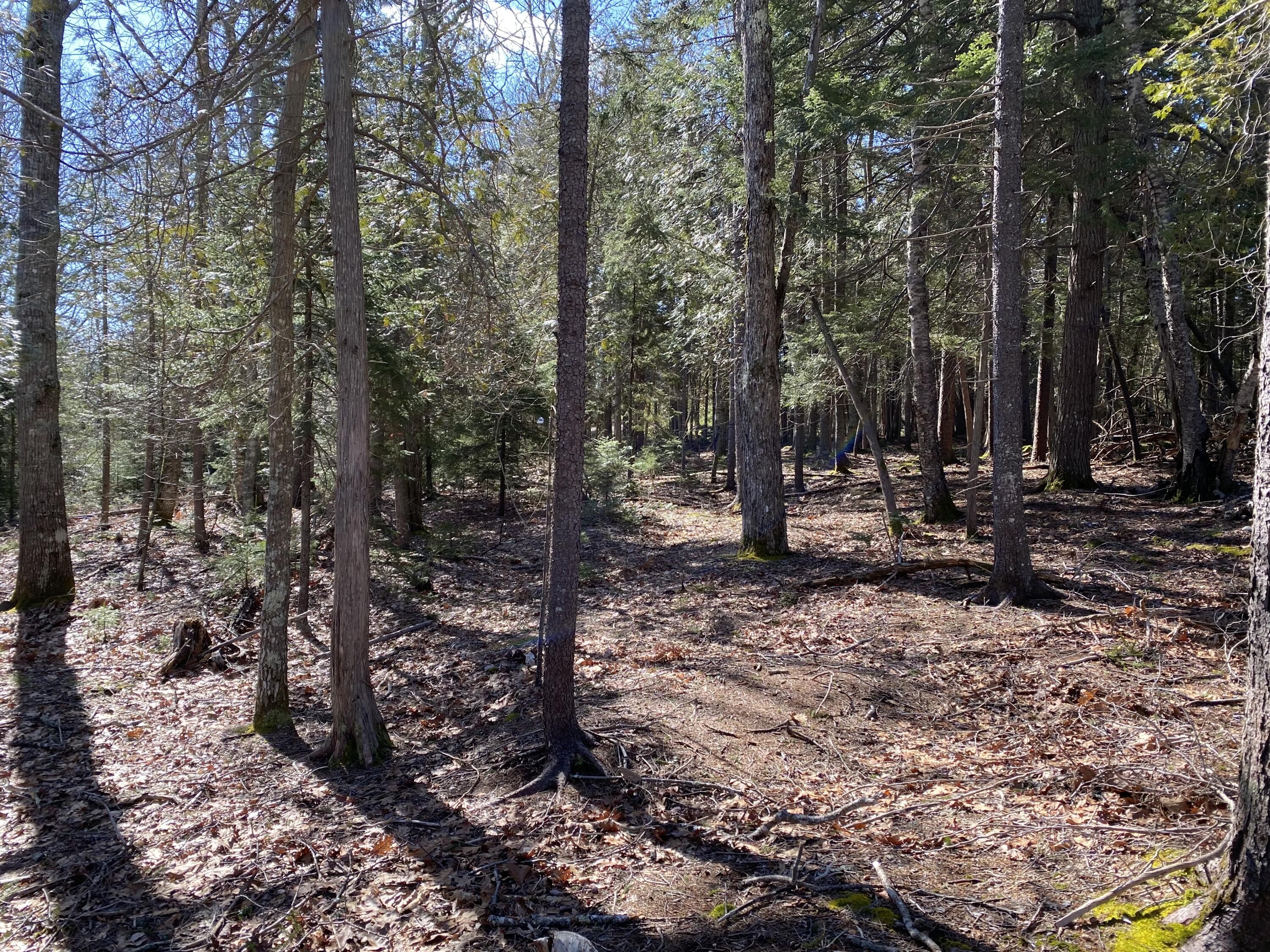 0 Beach Road Lincolnville, ME 04849 - Photo 1 of 16 IMG_1119