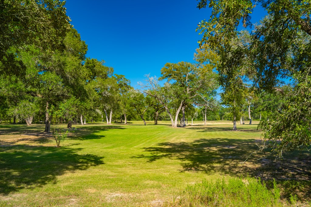 1301 County Road 218 Weimar, TX 78962 - Photo 49 of 55 a big yard with trees in the background