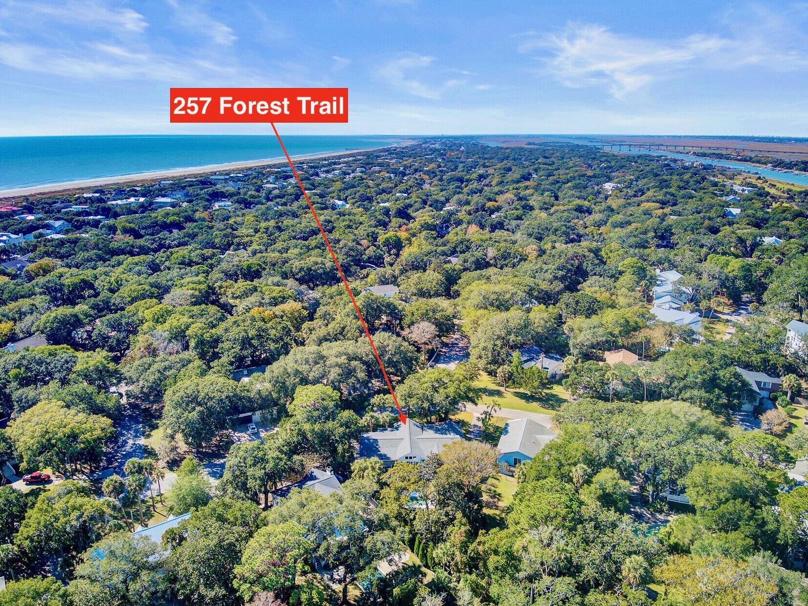 257 Forest Trail Isle of Palms, SC 29451 - Photo 6 of 103 drone