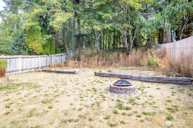a view of a yard with large tree
