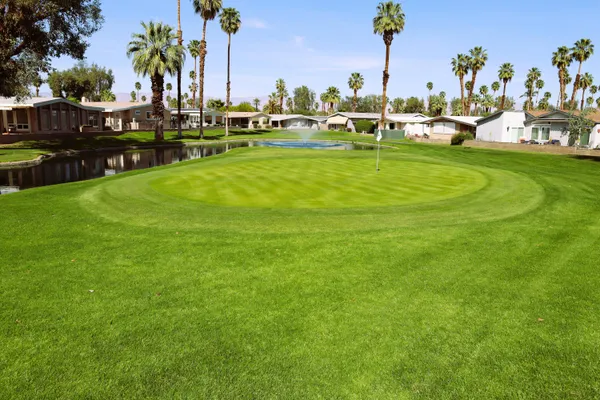 a view of a yard with palm trees