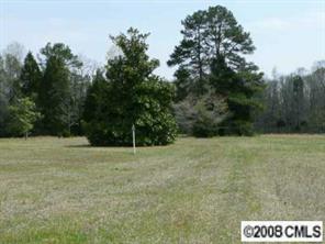 5128 Tabernacle Road Lancaster, SC 29720 - Photo 3 of 8 a view of outdoor space and yard