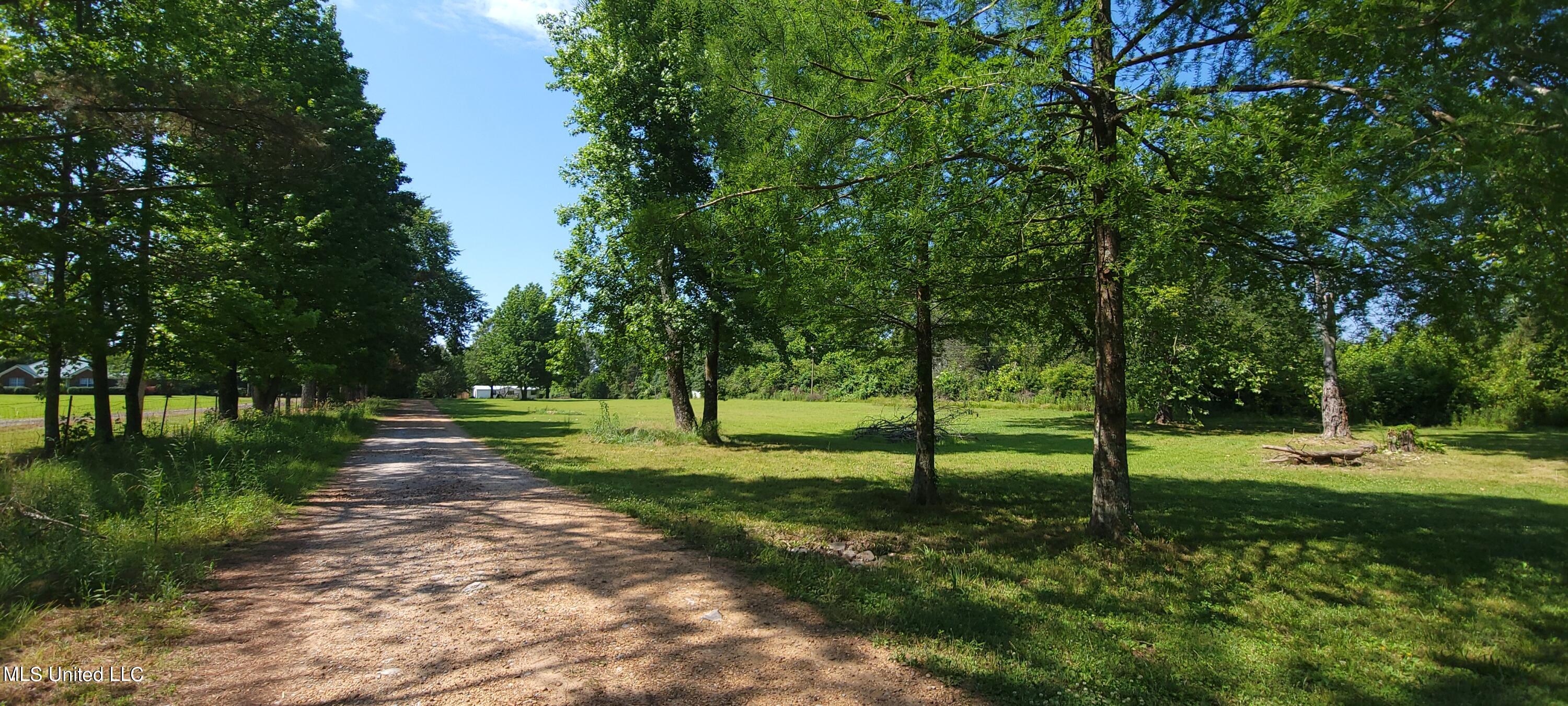 260 Leewood Road Holly Springs, MS 38635 - Photo 2 of 22 20230602_104532