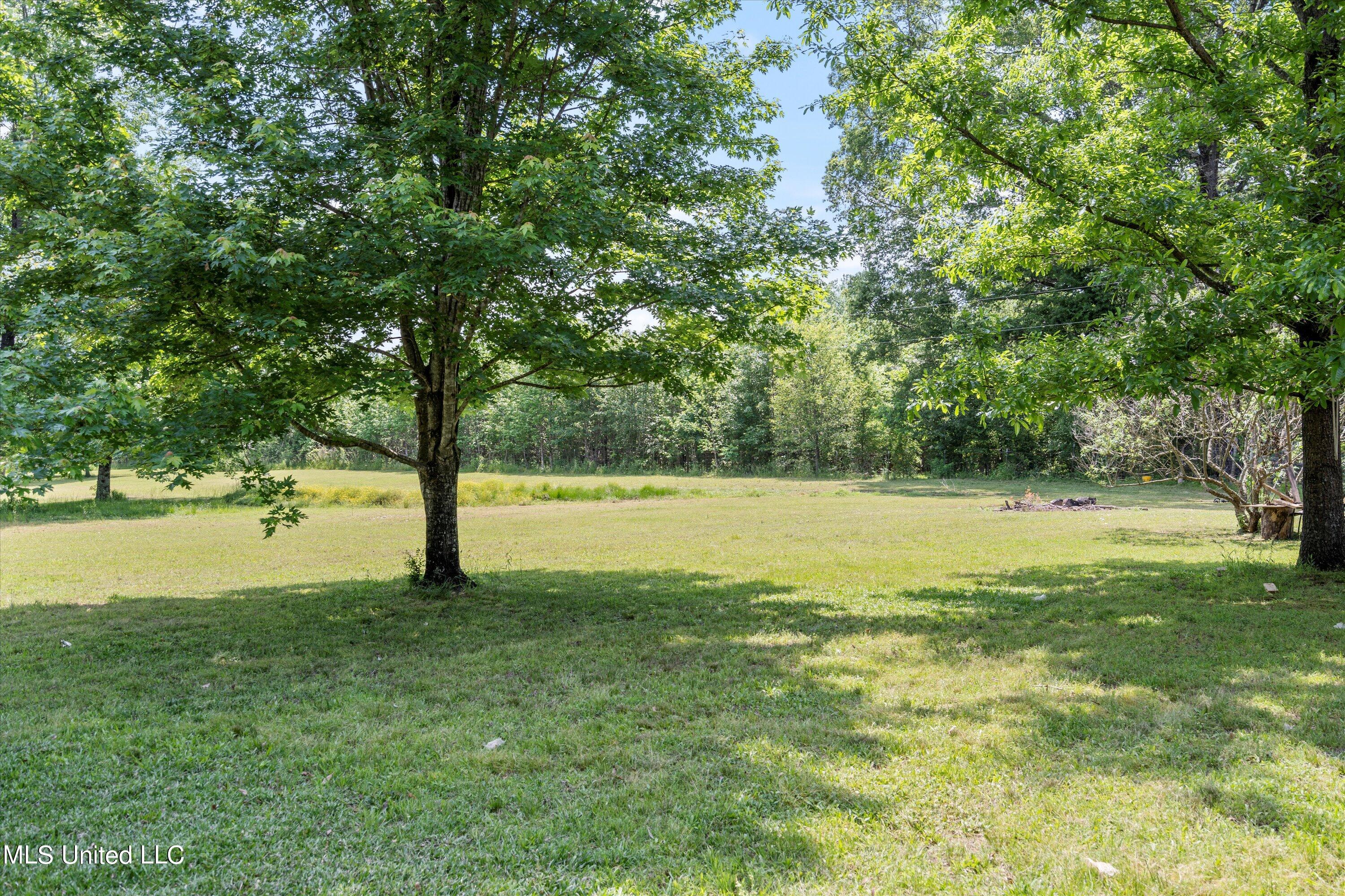 260 Leewood Road Holly Springs, MS 38635 - Photo 22 of 22 22-DSC2901