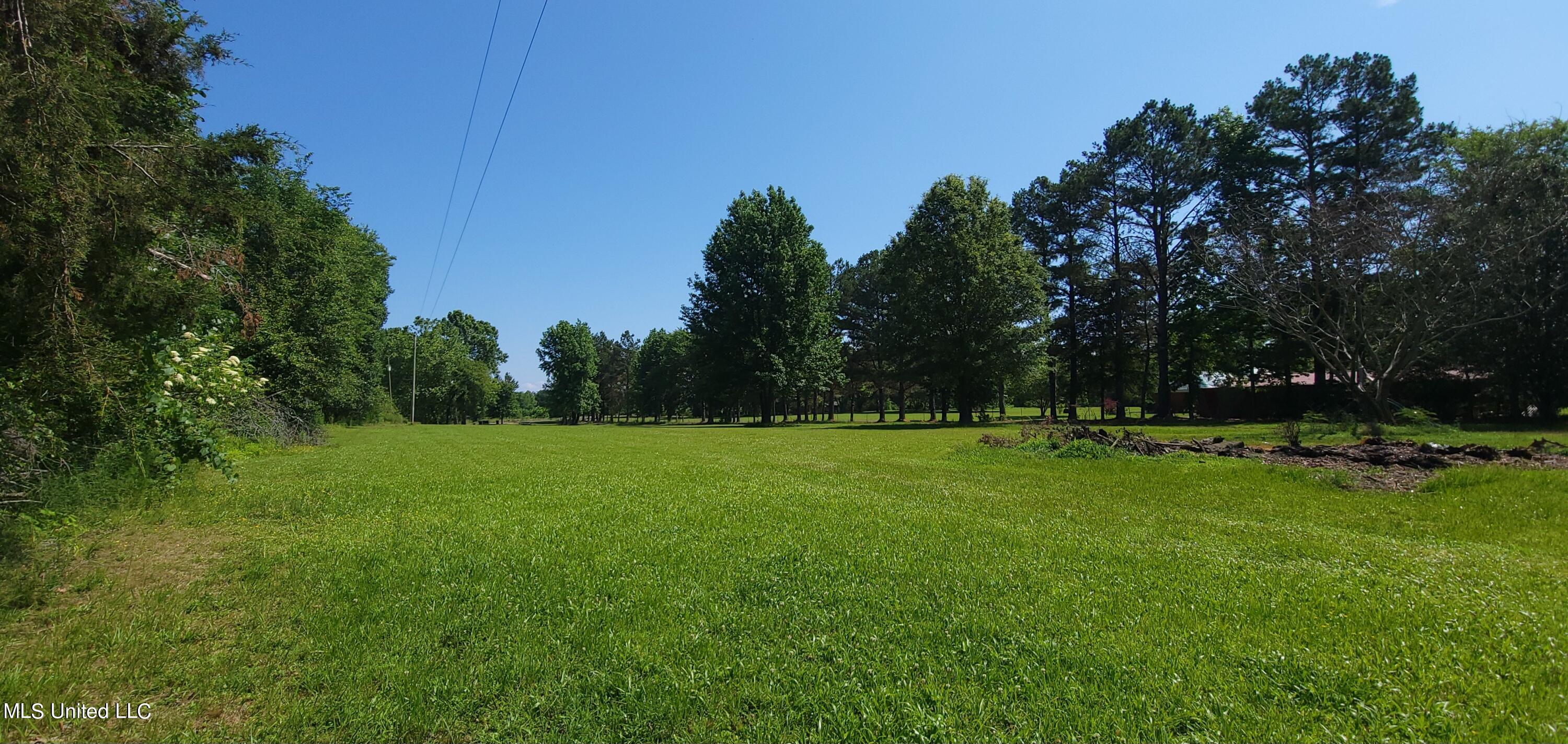 260 Leewood Road Holly Springs, MS 38635 - Photo 6 of 22 20230602_105156