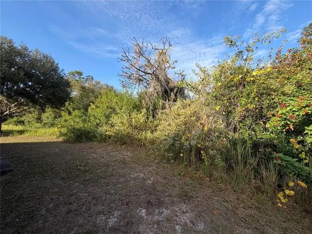 $2,100 | 11701 Brenford Crest Drive, Riverview, FL 33579