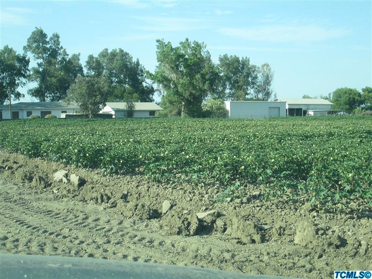 13518 Johnson Road Los Banos, CA 93635 - Photo 1 of 15 a view of house, Garage, Shop, and Barn