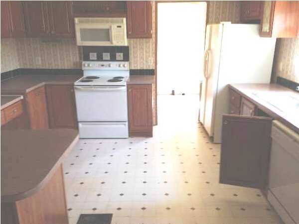 668 State Rd S-15-374 Cottageville, SC 29435 - Photo 10 of 15 Additional Photo