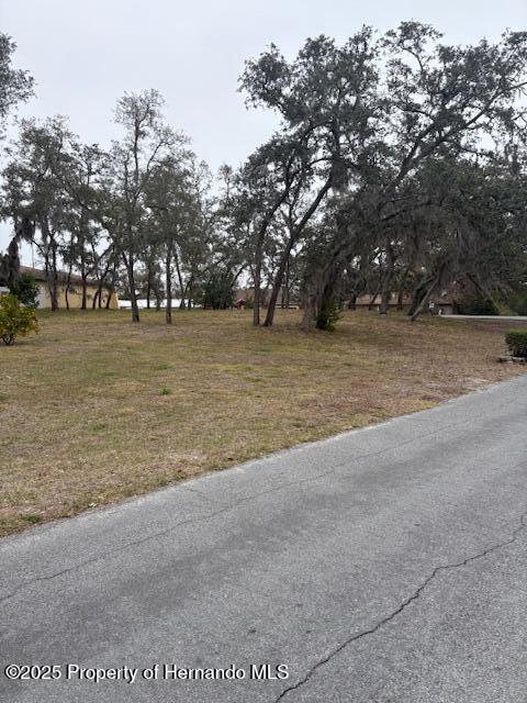 0 Tyler Avenue Spring Hill, FL 34606 - Photo 2 of 2