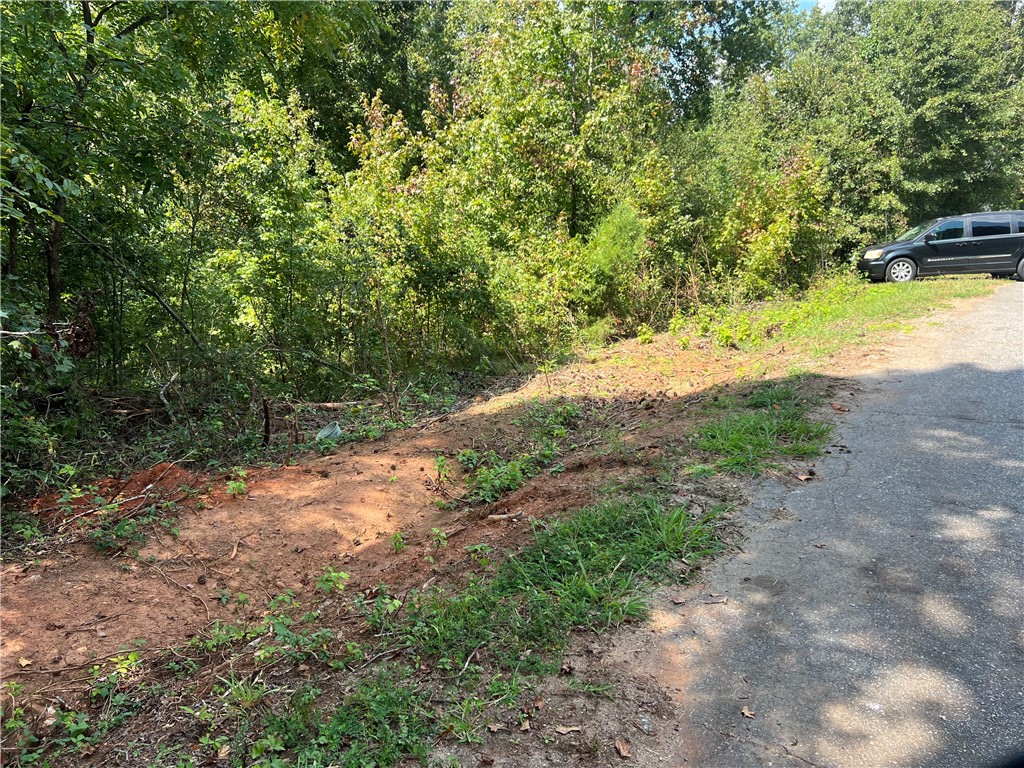 302 Horse Shoe Trail Anderson, SC 29621 - Photo 2 of 2