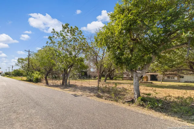 a view of a street with a tree