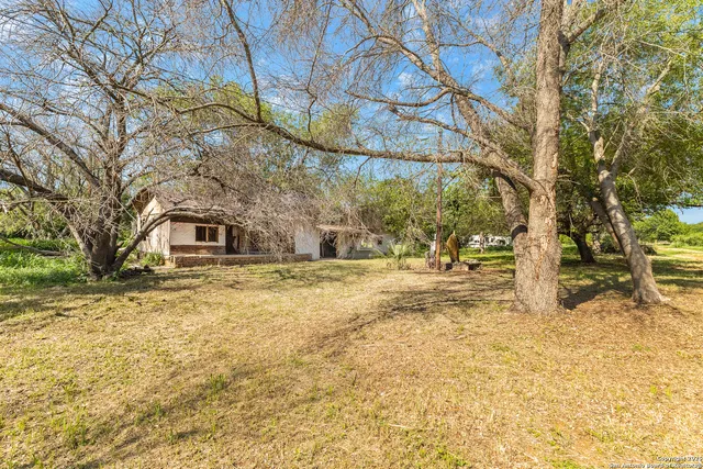 a view of a yard with a tree