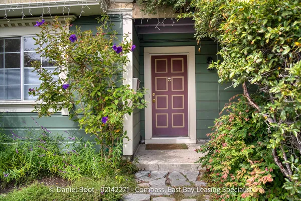 a potted plant is sitting in front of a house