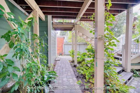 a view of a pathway of flowers