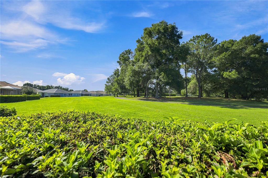 8060 Southwest 78th Terrace Road Ocala, FL 34476 - Photo 33 of 65 Gallery Image 33