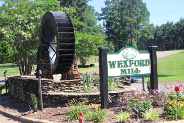 Lot 10 Burkelo Road Wagener, SC 29164 - Photo 7 of 18