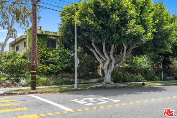 a view of a tree in front of a house
