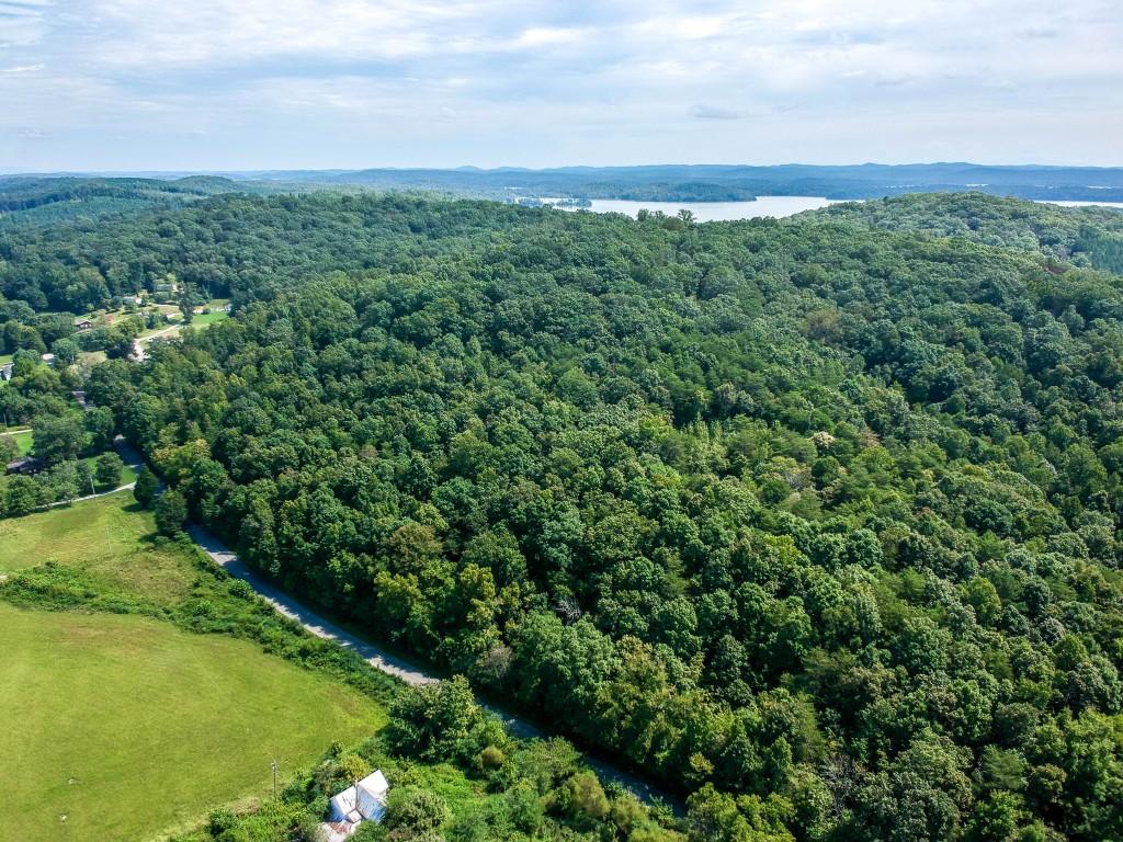 23.4-acres Toestring Valley Road Spring City, TN 37381 - Photo 11 of 40 toe string-1 drone (3)